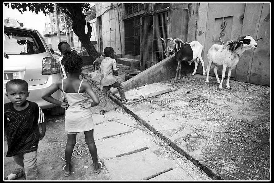Photo by: denis pont? Link: https://www.ponte.pro