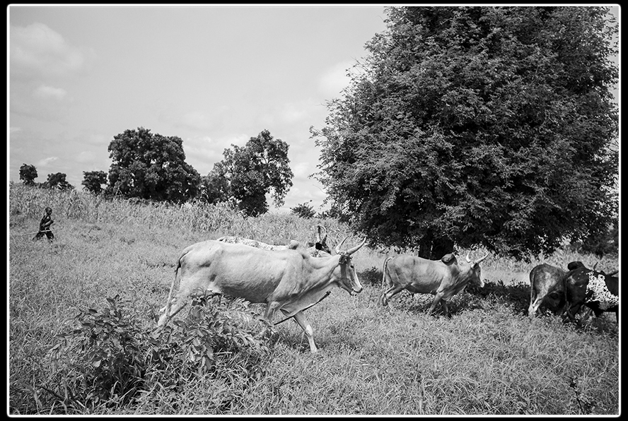 Photo by: denis pont? Link: https://www.ponte.pro